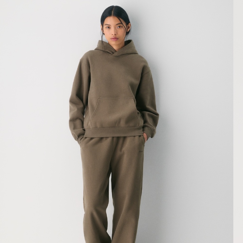 Aritzia cozy sweat fleece perfect hoodie